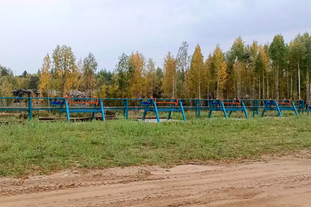 Линия сортировки с раскряжевкой бревна LSR 1250