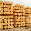 Станок для конусных бревен ОС2-400К