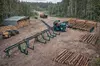 Дровокольно-сортировочная линия Cronver DRS 1250