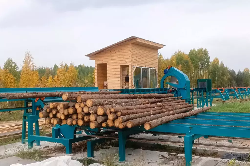 Линия сортировки с раскряжевкой бревна LSR 1250